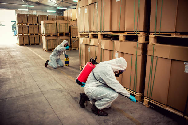 Best Affordable Pest Control Services  in Houghton, MI