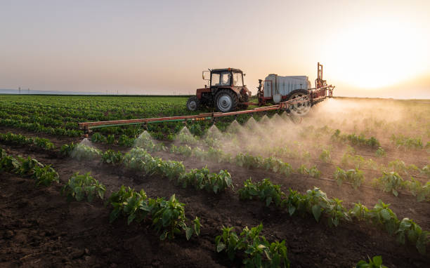 Best Mosquito Control Services  in Houghton, MI