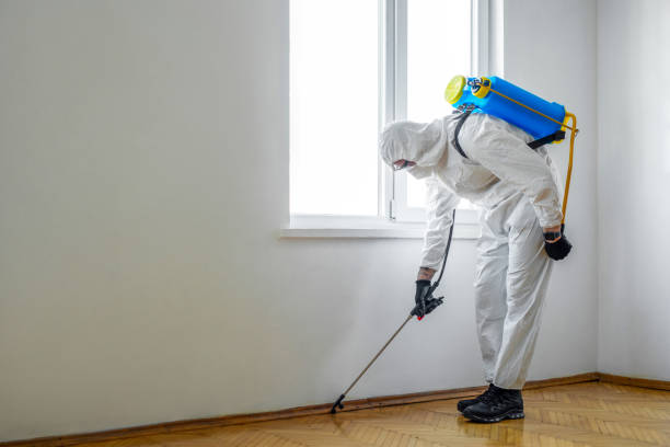 Best Affordable Exterminators  in Houghton, MI