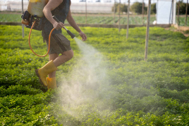 Best Affordable Exterminators  in Houghton, MI