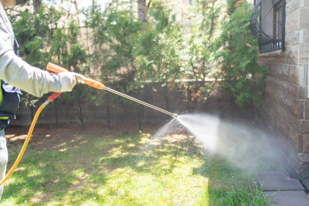 Best Emergency Pest Control  in Houghton, MI