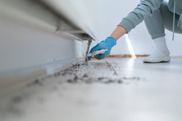 Best Pest Inspection Near Me  in Houghton, MI
