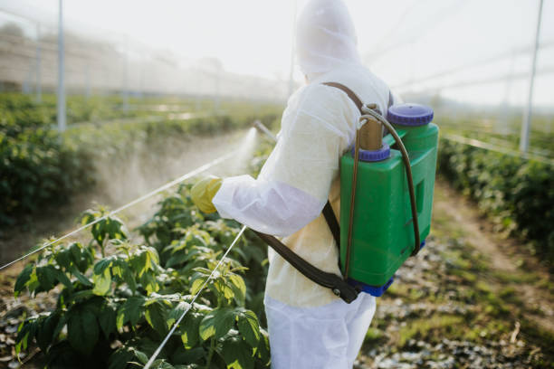 Best Cockroach Control Services  in Houghton, MI
